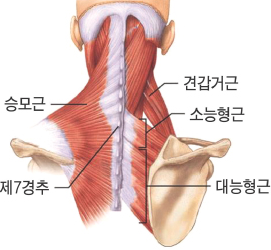 탑클래스짐 이미지
