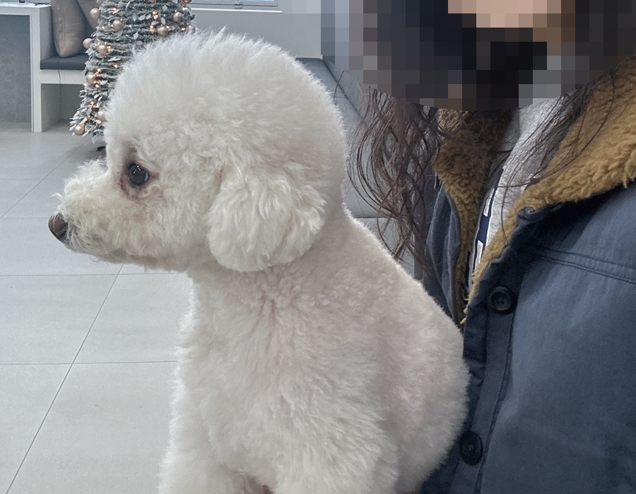 유니라벨헤어 이미지