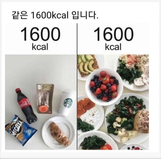 피티앤 이미지