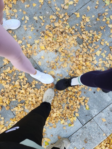 카페화몽 이미지