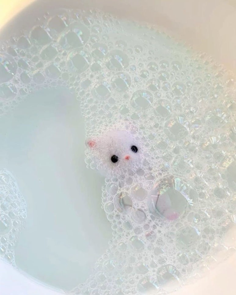 꽃잎하나 이미지
