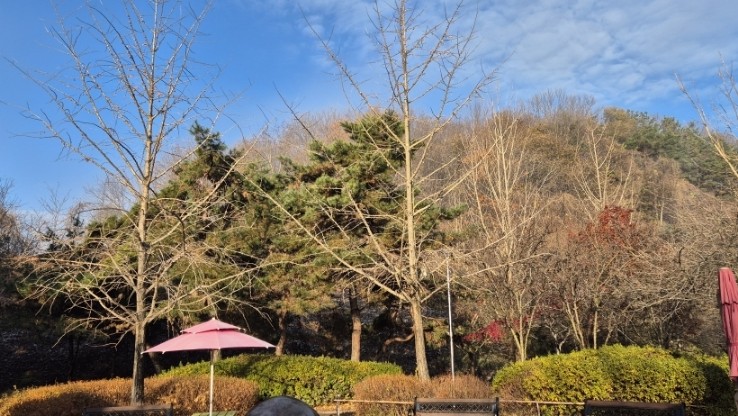 동양당한약방 이미지