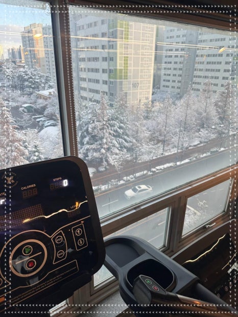 프로맨스 이미지