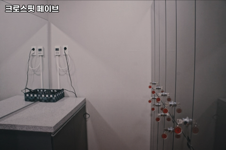 크로스핏페이브 이미지