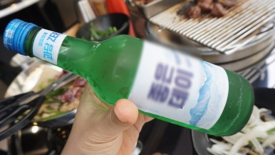 돼지특별시 이미지