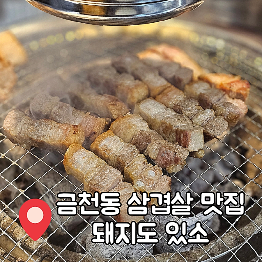돼지도있소 이미지