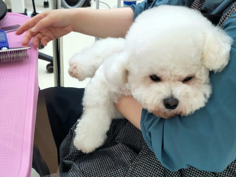 프리제이온 이미지