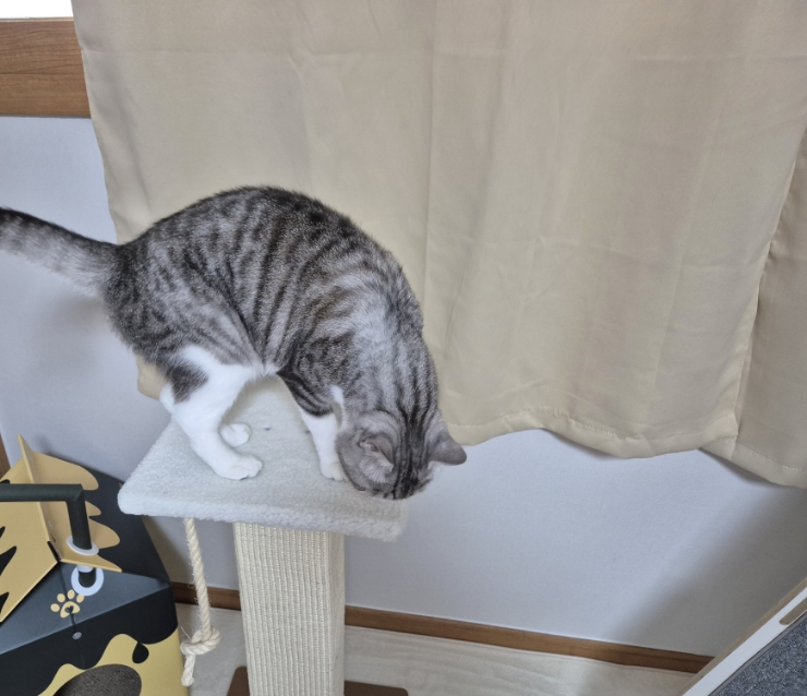 (주)파우제 이미지