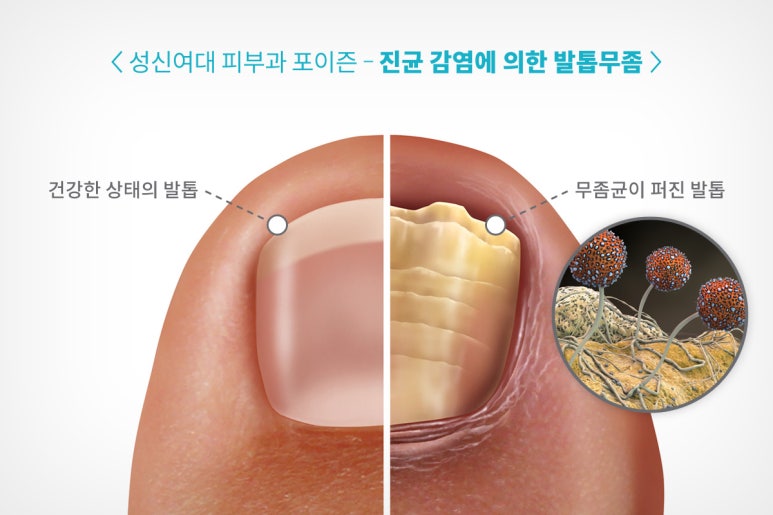 하얀피부과의원 이미지