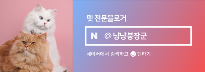 주식회사 맘사랑 이미지