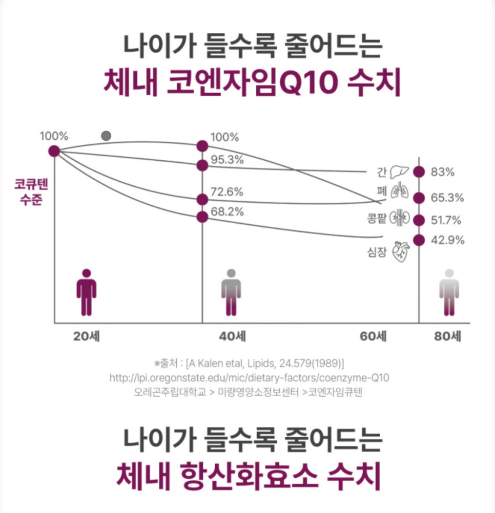 코엔자임Q10 플래티넘 리뷰 건강과 에너지를 위한 필수 영양제 이미지 4