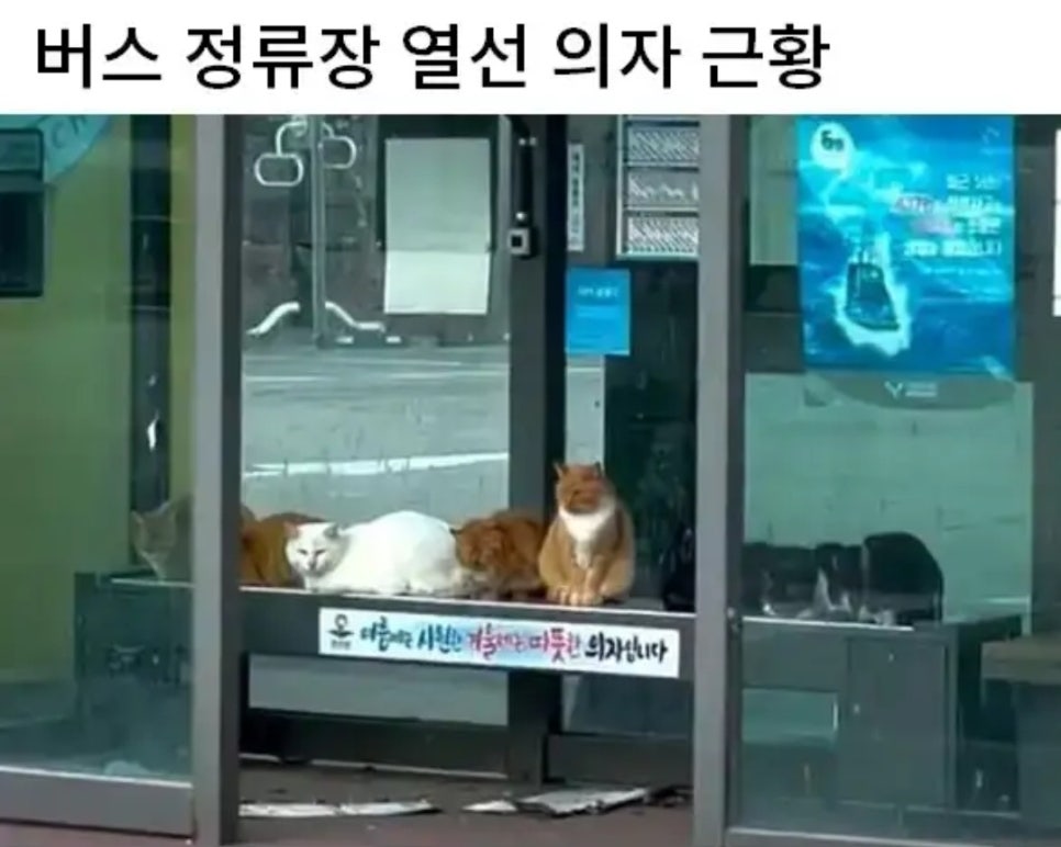 수정이엔씨 이미지