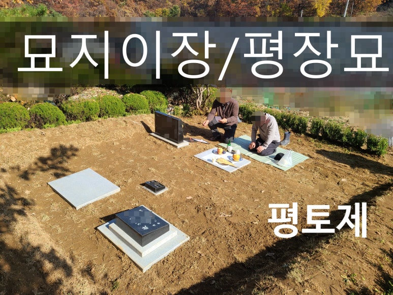 대성장묘 이미지