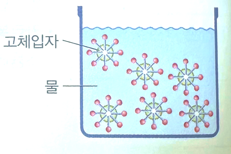 란화장품 이미지