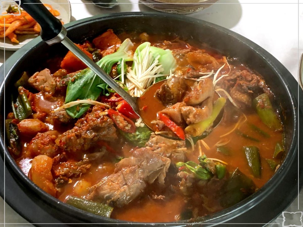 바위집염소 이미지