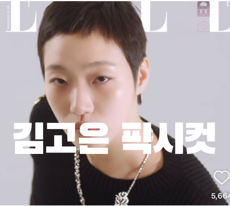 위엘르헤어 이미지