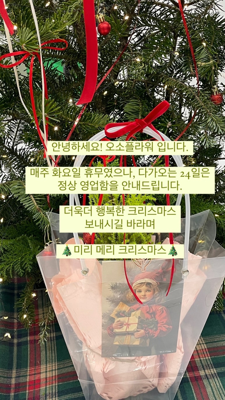 오소플라워 이미지
