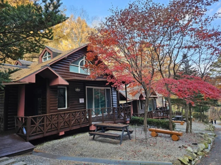 치악산자연휴양림 이미지