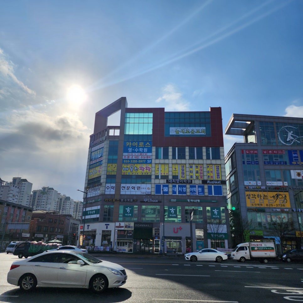 루덴헤어 이미지