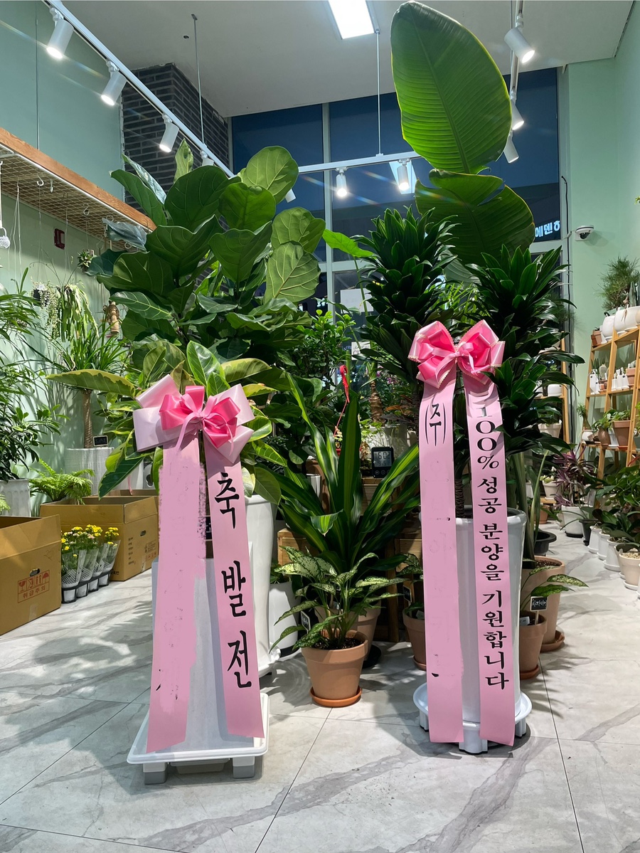 일루스터플라워 이미지