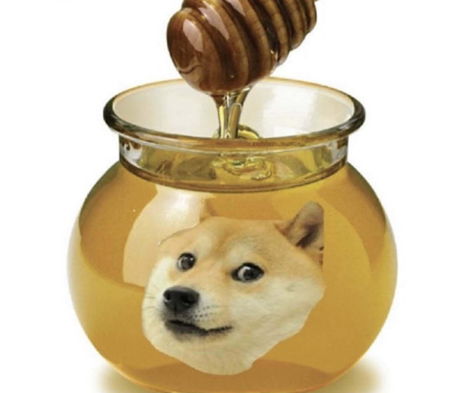 인컴존 이미지