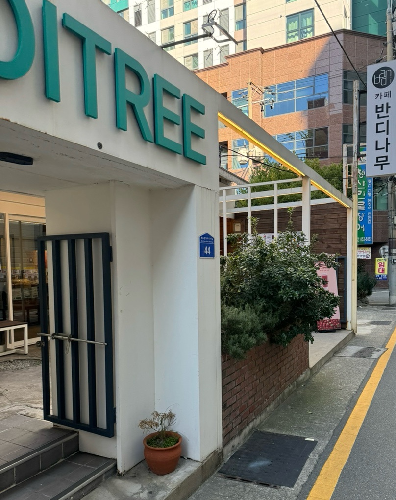카페반디나무 이미지