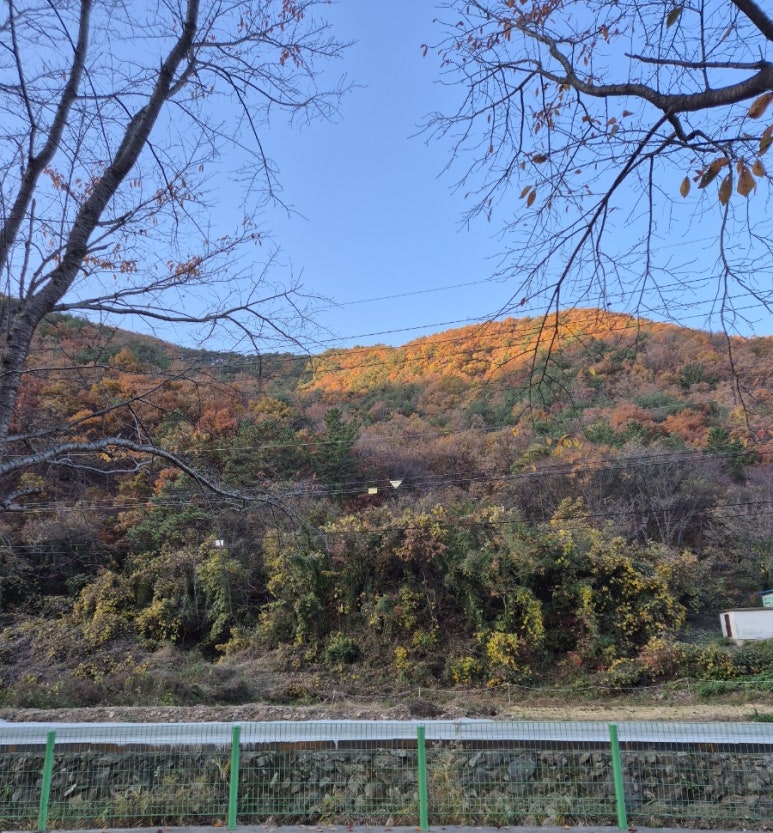 곤달비캠프 이미지