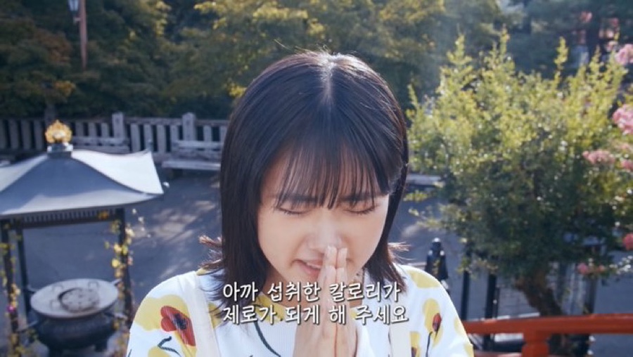본능족으로 족발보쌈 이미지