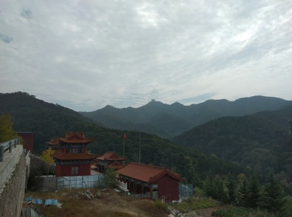 리코여행사 이미지