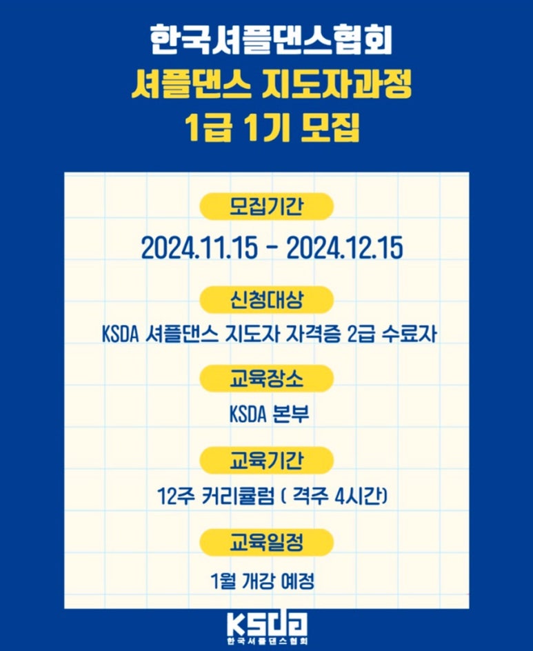 한국셔플댄스협회 이미지
