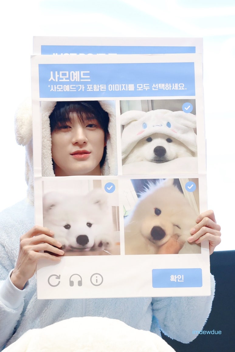 이팔청춘 이미지