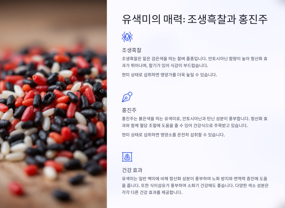 햇살농장 이미지