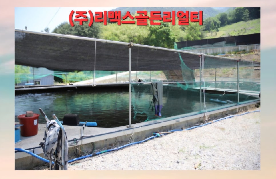 송이횟집 이미지