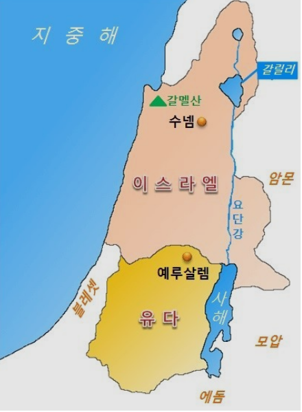 엔로겔 이미지
