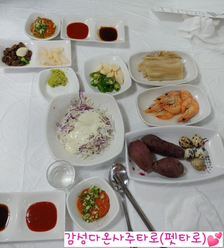 대진회센타 이미지
