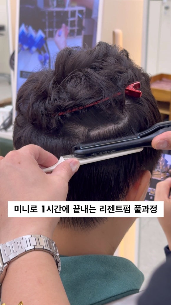 보하비 이미지