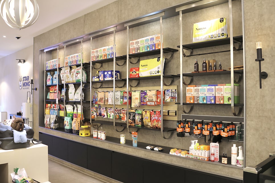 강남 애견유치원 스타몽: 매일 전문가 산책 및 맞춤 교육 — 사진 8