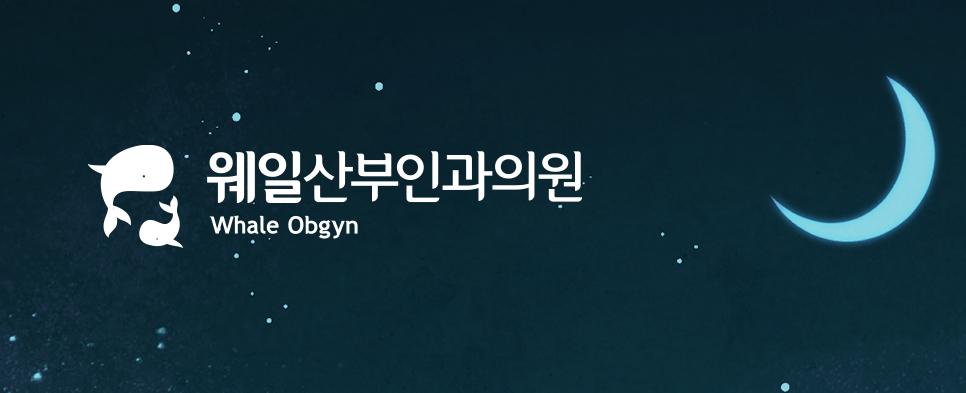 제이웨일 이미지