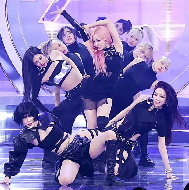 엘스타 이미지