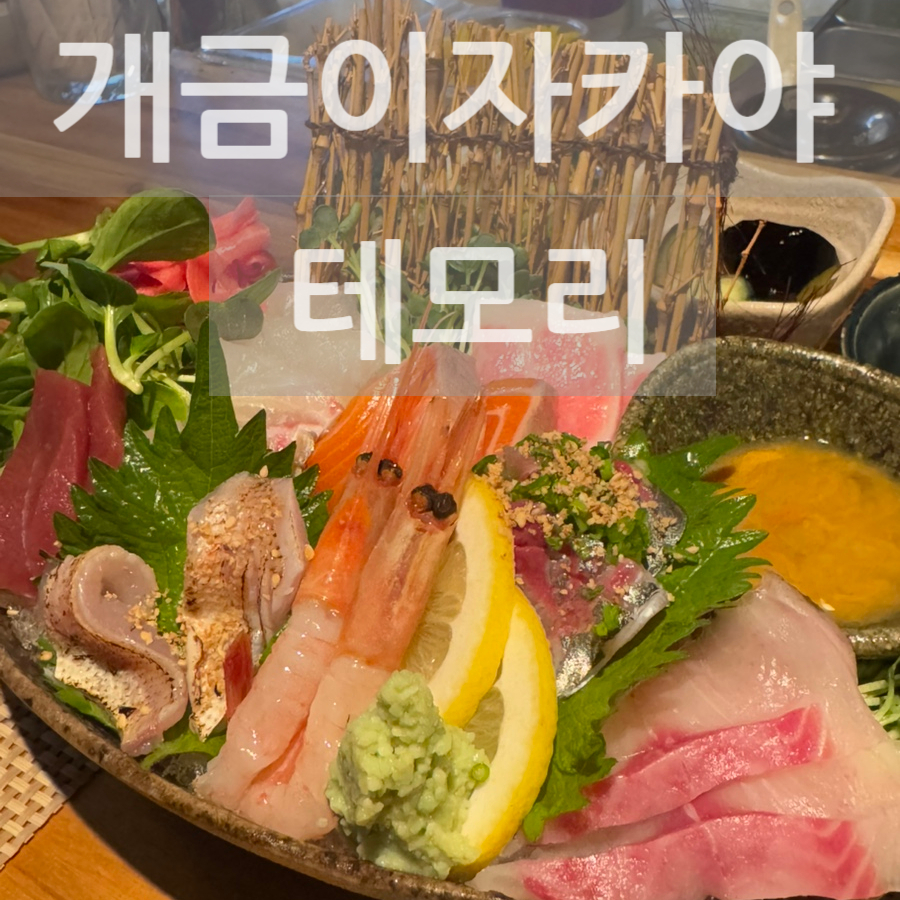 테모리 이미지