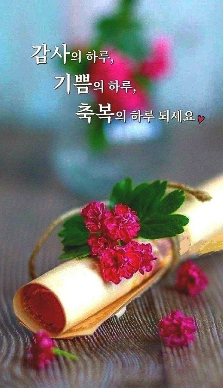 청운오리 이미지
