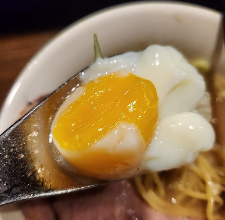 콘부토리 이미지