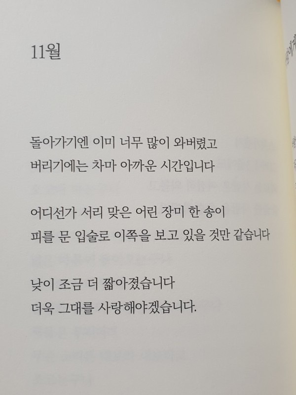 주[ZU:] 이미지