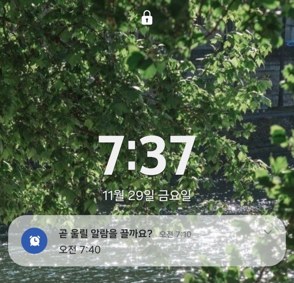송탄진버거 이미지