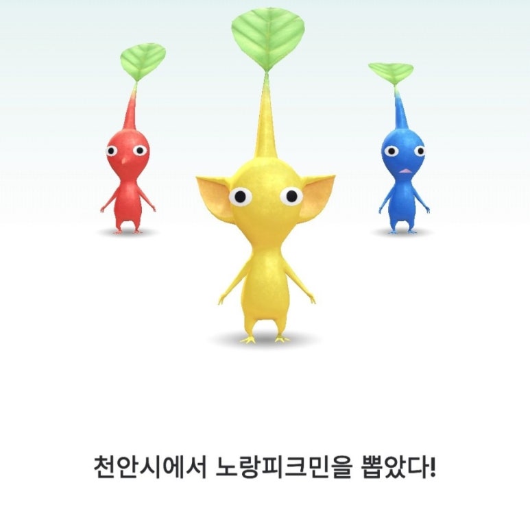 태윤미용실 이미지