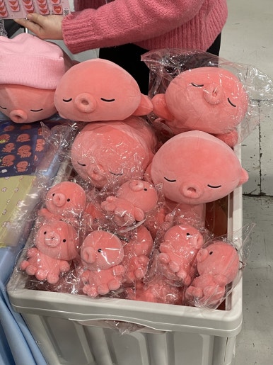 원쓰토리 이미지