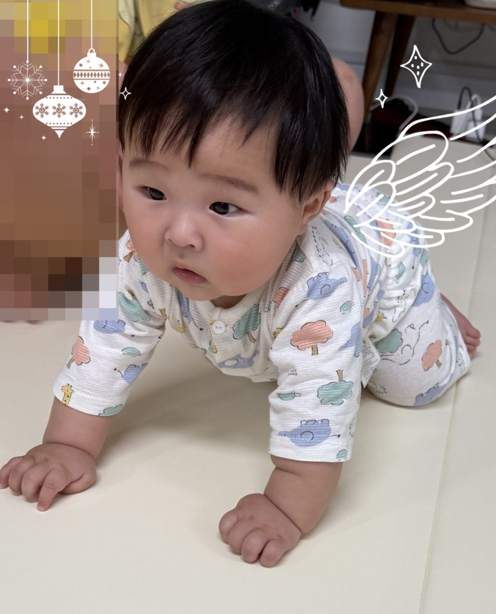 단율 이미지