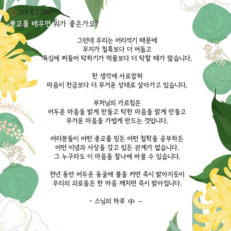 안다까 이미지