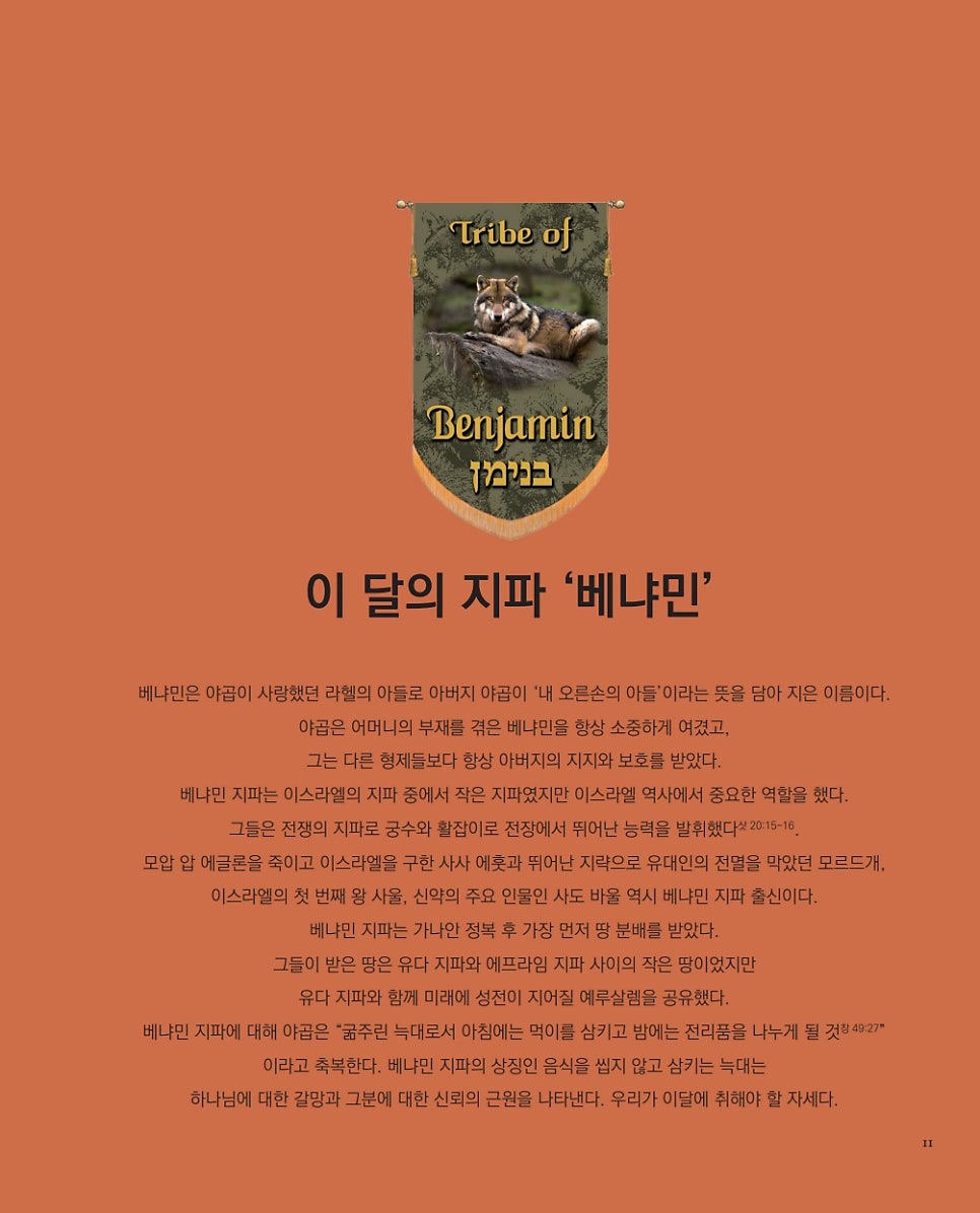 로쉬(ROSH) 이미지