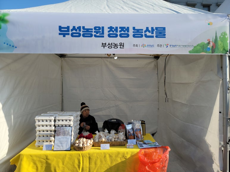 부성계란 이미지